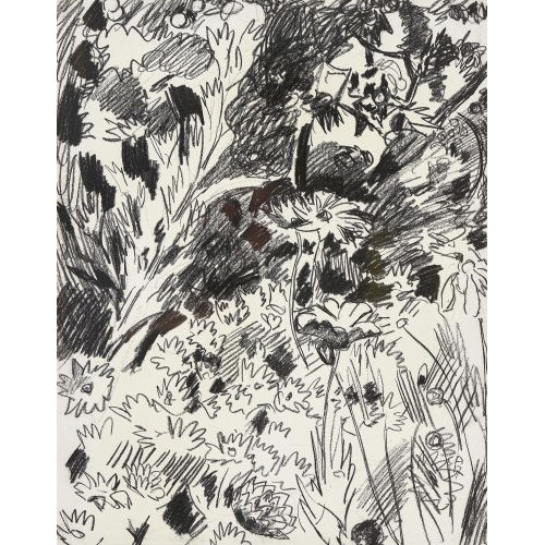 CUNO AMIET : Blumen im Garten (DOBIASCHOFSKY AUKTIONEN AG)