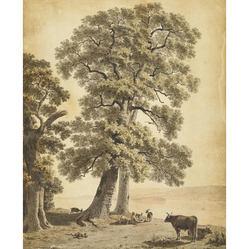JOHANN JAKOB BIEDERMANN : Ruhende Hirtenknaben am Ufer des Bielersees (DOBIASCHOFSKY AUKTIONEN AG)