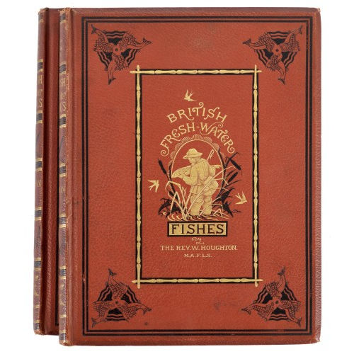 19. JH. ENGLAND : William Houghton: 'British Fresh-Water Fishes' (DOBIASCHOFSKY AUKTIONEN AG)