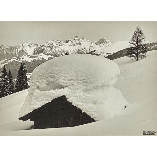PAUL DREYFUSS : 'Tiefschnee am Rinderberg' (DOBIASCHOFSKY AUKTIONEN AG)