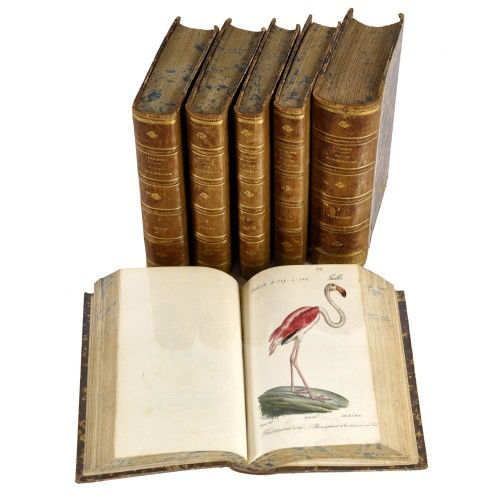 19. JH. FRANKREICH : Coenraad Jacob Temminck: 'Manuel d'Ornithologie, ou Tableau syst�matique des Oiseaux qui se trouvent en Europe' (DOBIASCHOFSKY AUKTIONEN AG)