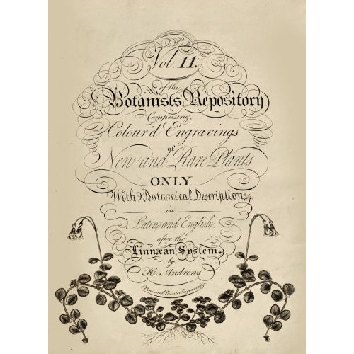 HENRY CHARLES ANDREWS : 'Botanists Repository. Comprising, colour'd Engravings of New and Rare Plants only with Botanical Descriptions in Latin and English after the Linnaean System' (DOBIASCHOFSKY AUKTIONEN AG)