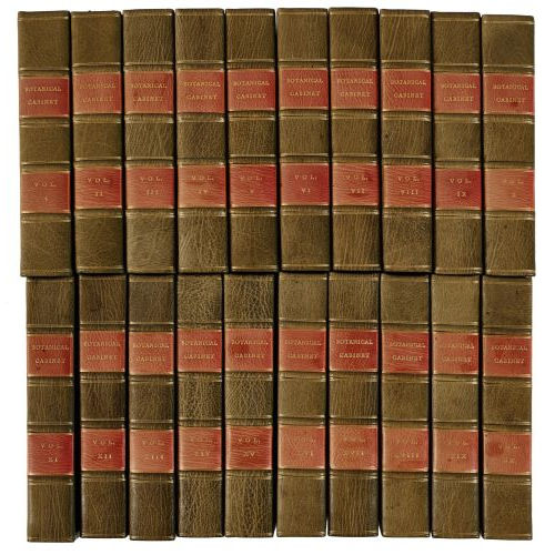GEORGE COOKE : Conrad Loddiges & Sons: 'The Botanical Cabinet' (DOBIASCHOFSKY AUKTIONEN AG)