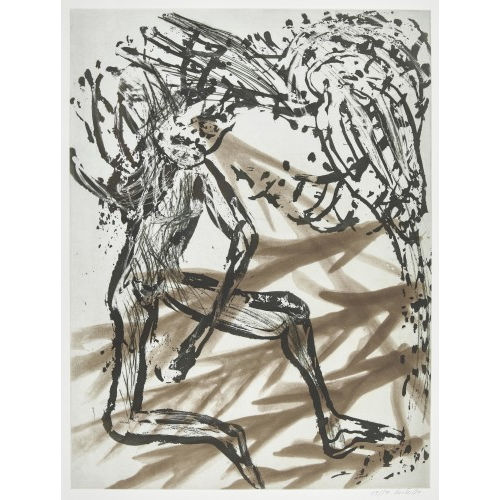 MARTIN DISLER : 'Museum of desire' (DOBIASCHOFSKY AUKTIONEN AG)
