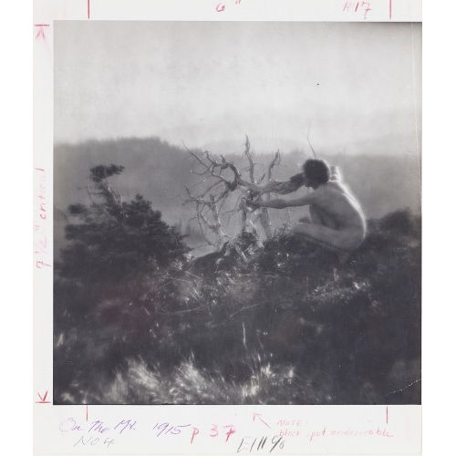 IMOGEN CUNNINGHAM : Nude and Landscape (DOBIASCHOFSKY AUKTIONEN AG)