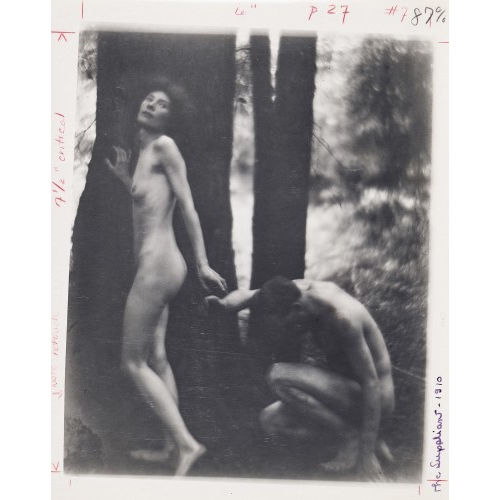 IMOGEN CUNNINGHAM : 'The Suppliant' (DOBIASCHOFSKY AUKTIONEN AG)
