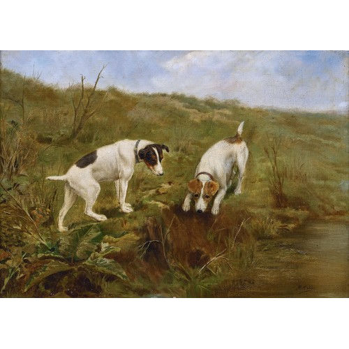 BERNARD COBBE : Zwei Jack Russells am Bachufer (DOBIASCHOFSKY AUKTIONEN AG)