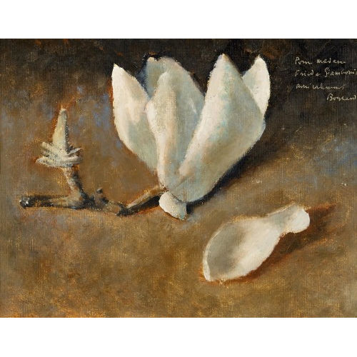 RODOLPHE TH�OPHILE BOSSHARD : Weisse Magnolienbl�te (DOBIASCHOFSKY AUKTIONEN AG)