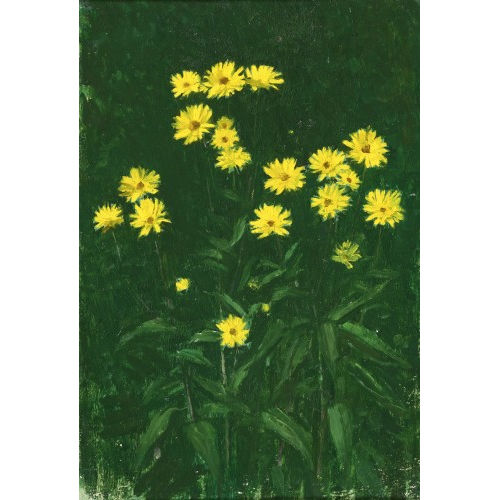 WERNER GFELLER : Wiesenblumen (DOBIASCHOFSKY AUKTIONEN AG)