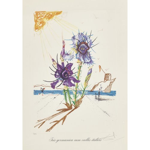 SALVADOR DAL� : 'Iris germanica cum ocellis italicis' (DOBIASCHOFSKY AUKTIONEN AG)