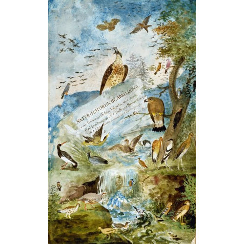 JOHANN EMANUEL WYSS : 'Naturhistorische Abbildung von Schweizerschen Vgeln, mit deren Beschreibungen und sonstigen Bemerkungen meist selbst gesammlet. Und nach der Natur verfertigt...' (DOBIASCHOFSKY AUKTIONEN AG)