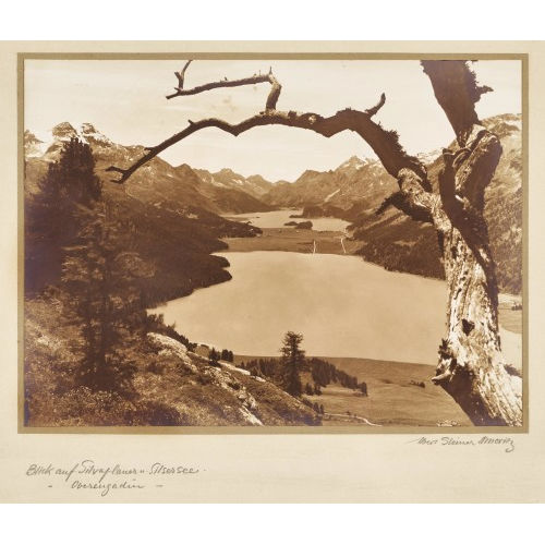 ALBERT STEINER : 'Blick auf Silvaplaner und Silsersee' (DOBIASCHOFSKY AUKTIONEN AG)