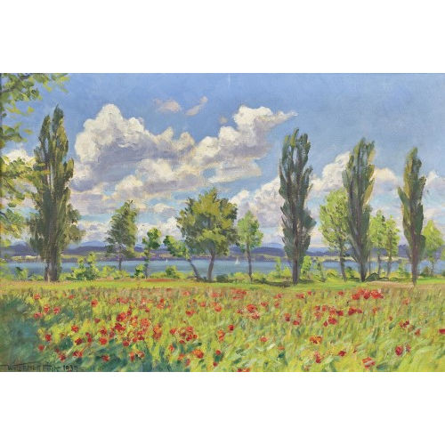 WALDEMAR THEOPHIL FINK : 'Sommertag am Murtensee' (DOBIASCHOFSKY AUKTIONEN AG)