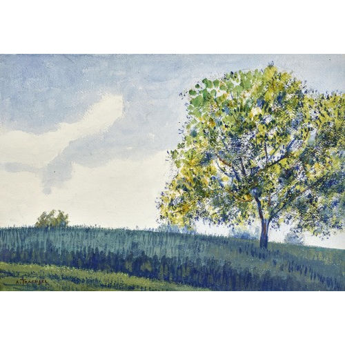ALBERT TRACHSEL : Feldlandschaft mit B�umen (DOBIASCHOFSKY AUKTIONEN AG)