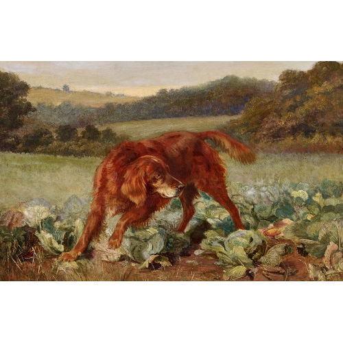 WILLIAM HENRY TROOD : Dog in cabbage field (DOBIASCHOFSKY AUKTIONEN AG)