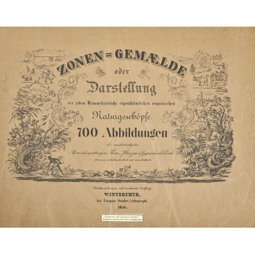 HANS HEINRICH KELLER : 'Zonen-Gemaelde oder Darstellung der jedem Himmelsstriche eigenth�mlichen organischen Naturgesch�pfe. 700 Abbildungen der merkw�rdigsten Menschengattungen, Thiere, Pflanzen u. Gegenden der Erde. Mit einem erl�uternden Texte und einer Erdkarte' (DOBIASCHOFSKY AUKTIONEN AG)
