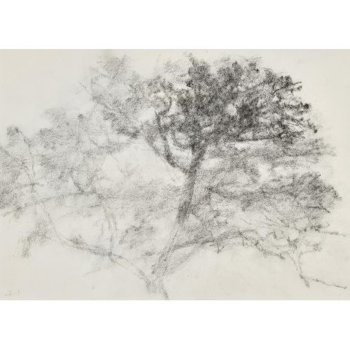 ALEXANDRE HOLLAN : Arbre (DOBIASCHOFSKY AUKTIONEN AG)