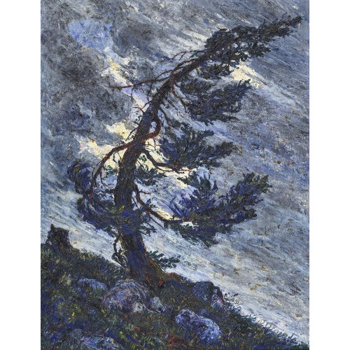 RODOLFO OLGIATI : Wettertanne im Sturm (DOBIASCHOFSKY AUKTIONEN AG)