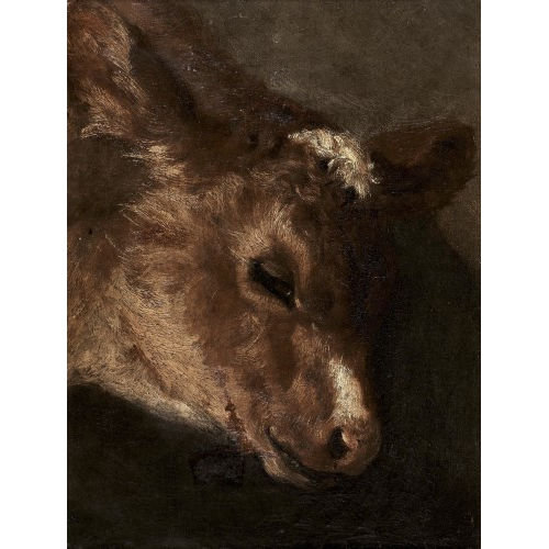 EUG�NE FERDINAND VICTOR DELACROIX : T�te de veau (DOBIASCHOFSKY AUKTIONEN AG)