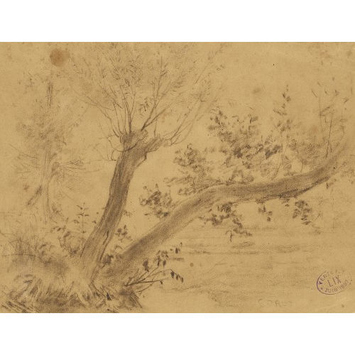 JEAN-BAPTISTE CAMILLE COROT : Baumstudie (DOBIASCHOFSKY AUKTIONEN AG)