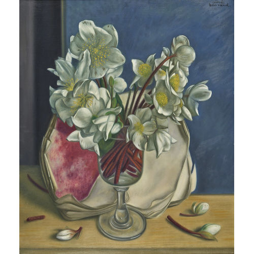 AIM VICTOR BARRAUD : Nature morte aux roses de Nol (DOBIASCHOFSKY AUKTIONEN AG)