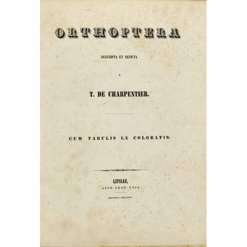 TOUSSAINT DE CHARPENTIER : 'Orthoptera. Descripta et Depicta' (DOBIASCHOFSKY AUKTIONEN AG)