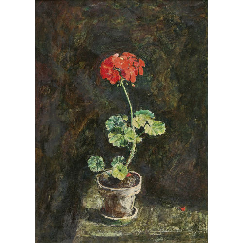 MARTIN LAUTERBURG : Geranium im Topf (DOBIASCHOFSKY AUKTIONEN AG)