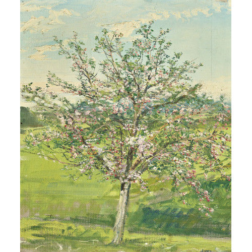PAUL JAKOB) PAOLO (EIGTL. M�LLER : Bl�hender Apfelbaum (DOBIASCHOFSKY AUKTIONEN AG)
