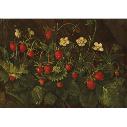 FRANZ XAVER PIELER : Walderdbeerstock mit Bl�ten und Fr�chten (DOBIASCHOFSKY AUKTIONEN AG)