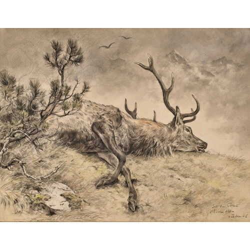 XAVIER DE PORET : Erlegter Hirsch (DOBIASCHOFSKY AUKTIONEN AG)