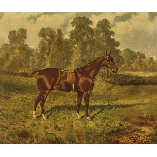 JAMES CLARK : Horse in a landscape (DOBIASCHOFSKY AUKTIONEN AG)