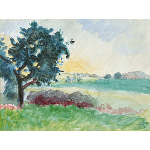 CUNO AMIET : Weite Landschaft (DOBIASCHOFSKY AUKTIONEN AG)