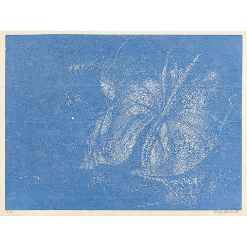 FRANZ GERTSCH : 'Teichrosenblatt' (DOBIASCHOFSKY AUKTIONEN AG)