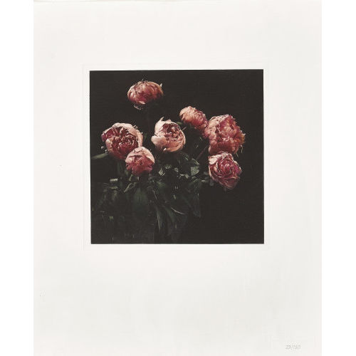 BALTHASAR BURKHARD : 'Flowers' (DOBIASCHOFSKY AUKTIONEN AG)