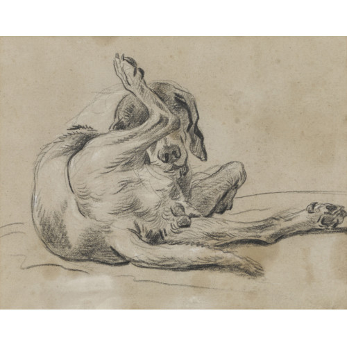 LOUIS-AUGUSTE (GEN. BRUN DE VERSOIX) BRUN : Hundestudie (DOBIASCHOFSKY AUKTIONEN AG)