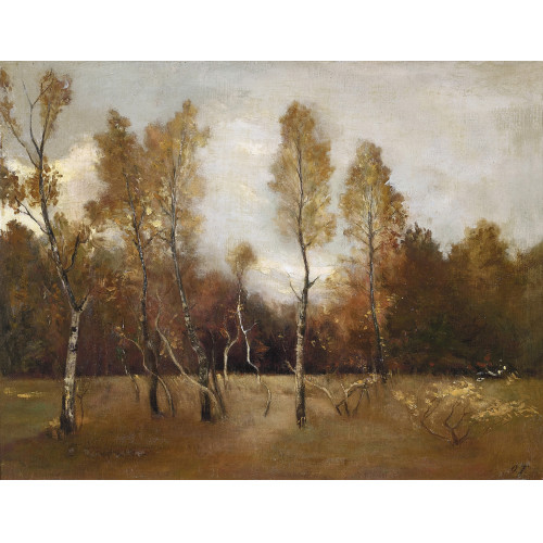 OTTO FR�LICHER : 'Herbststimmung. Birken im Ried bei Solothurn' (DOBIASCHOFSKY AUKTIONEN AG)