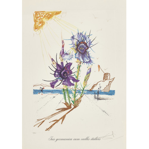 SALVADOR DAL� : 'Iris germanica cum ocellis italicis' (DOBIASCHOFSKY AUKTIONEN AG)