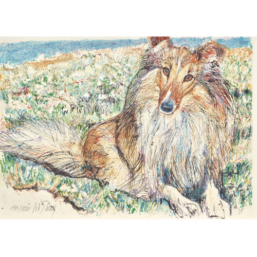FRITZ HUG : Langhaar-Collie (DOBIASCHOFSKY AUKTIONEN AG)