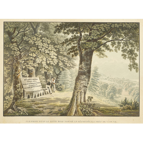 GABRIEL (GEN. LORY FILS) LORY : 'Vue prise dans le petit bois nomm� le B�chh�lzli pr�s de Thoune' (DOBIASCHOFSKY AUKTIONEN AG)