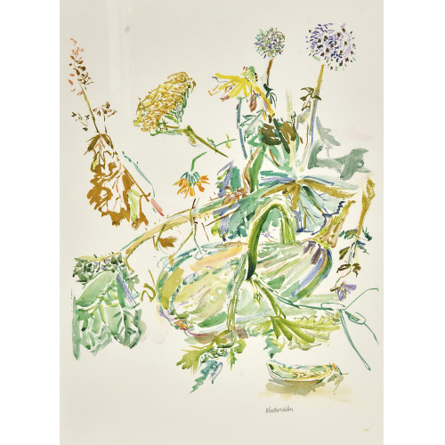 OSKAR KOKOSCHKA : 'K�rbis' (DOBIASCHOFSKY AUKTIONEN AG)