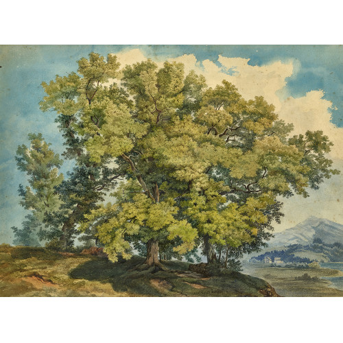 JOST SCHNYDER VON WARTENSEE : Baumbestandene Landschaft (DOBIASCHOFSKY AUKTIONEN AG)
