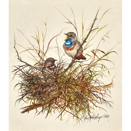 HUBERT WEIDINGER : Blaukehlchenpaar mit Nest (DOBIASCHOFSKY AUKTIONEN AG)