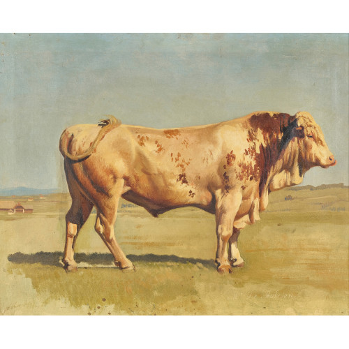 ALBERT LUGARDON : 'Taureau race fribourgoise' (DOBIASCHOFSKY AUKTIONEN AG)