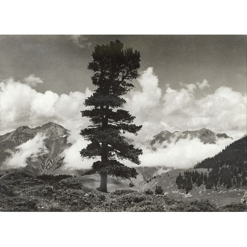 L�RTSCHER : 'Elsigenalp' (DOBIASCHOFSKY AUKTIONEN AG)