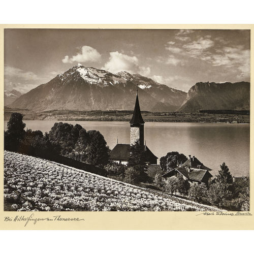 ALBERT STEINER : 'Bei Hilterfingen am Thunersee' (DOBIASCHOFSKY AUKTIONEN AG)