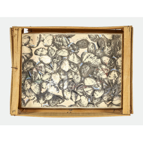 ALFRED HOFKUNST : Muscheln in Holzkiste (DOBIASCHOFSKY AUKTIONEN AG)