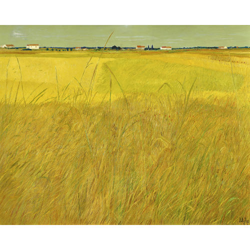 KATHY (EIGTL. THYS-BILL THYS : Weite Landschaft in Apulien (DOBIASCHOFSKY AUKTIONEN AG)