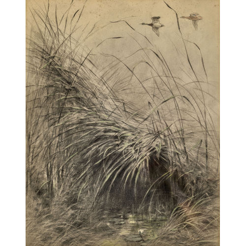 XAVIER DE PORET : 'Vol de canards' (DOBIASCHOFSKY AUKTIONEN AG)