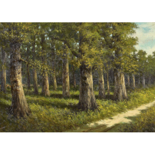 20. JH. ITALIEN : Sonniger Waldweg (DOBIASCHOFSKY AUKTIONEN AG)