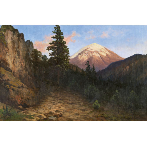 AUGUST L�HR : Vista del Popocat�petl (DOBIASCHOFSKY AUKTIONEN AG)
